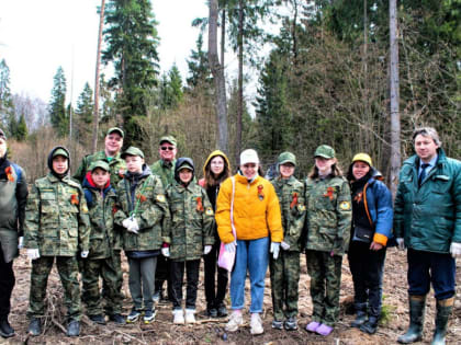 Учащиеся школьного лесничества «Внуковский лес» посадили ели в память о героях