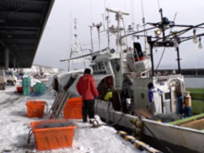 "Путин рассердился": японские рыбаки страдают от антироссийских санкций