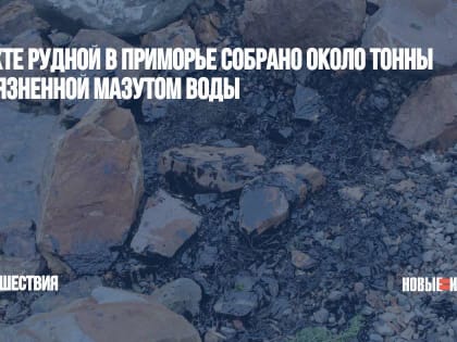 В Бухте Рудной в Приморье собрано около тонны загрязненной мазутом воды