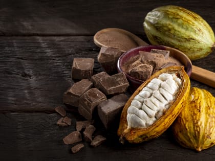 Цены на какао-бобы бьют исторический рекорд, превысив отметку в $10 000 за тонну