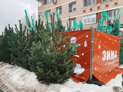 В Люберцах работают более 30 елочных базаров
