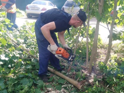 В Рузском округе приводят в порядок зеленые насаждения