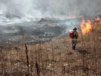 В Мособлпожспасе напомнили об опасности поджогов сухой растительности