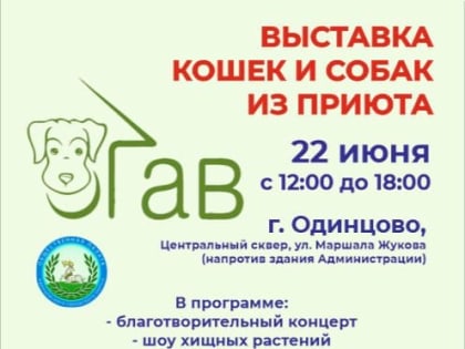 Благотворительная выставка животных из приютов «Возьми друга из приюта!» пройдет в Одинцовском городском округе