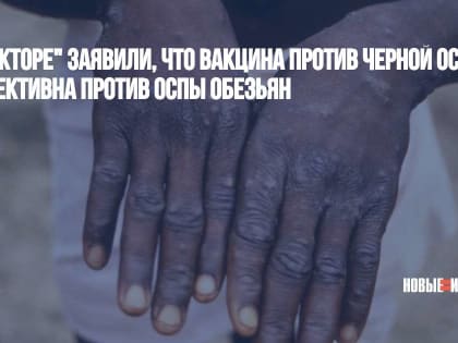 В "Векторе" заявили, что вакцина против черной оспы эффективна против оспы обезьян