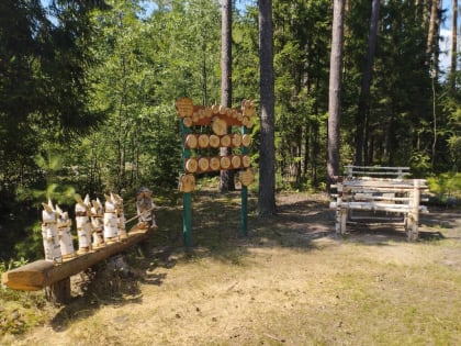 В лесах Орехово-Зуевского округа появилась «Птичья поляна»