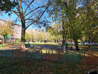 Богородские общественники провели мониторинг благоустройства губернаторских площадок