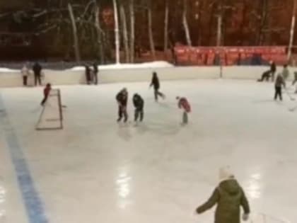 В Лобне открылся бесплатный каток