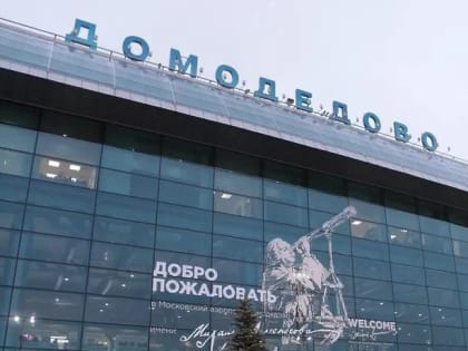 В аэропорту Домодедово у пассажира взорвалась светошумовая граната