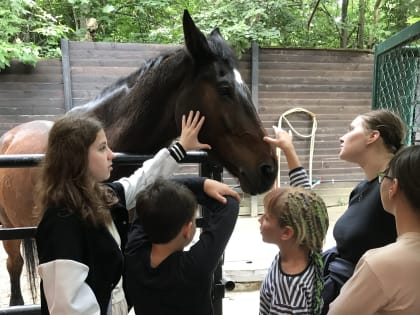 На коне и в шоколаде