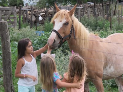 Chicas acariciando un caballo junto a la pirca de piedra