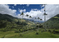 DESTINOS DE INVERSIÓN Y EL FACTOR QUINDÍO