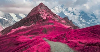 Alt-La vida bajo otra luz, ganadores del concurso de fotografía infrarroja 2024 (14 fotos) [ENG]