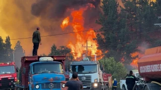 Alt-Los incendios arrasan la Patagonia argentina frente a la indiferencia del Gobierno de Milei