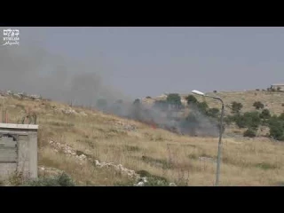 Alt-Colonos judíos incendian campos en Cisjordania (2019)