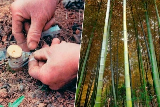 Alt-China ya extraía gas natural hace 2.000 años y lo transportaba por tuberías de bambú