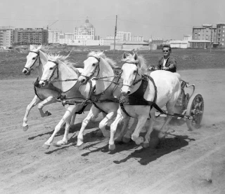 Alt-Charlton Heston entrenando para su icónica carrera de carros en “Ben-Hur” (1959) (ENG)