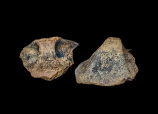 Alt-Descubren en una isla griega dos impresiones de sellos que cambian todo lo que sabemos sobre los orígenes de la escritura en el Egeo