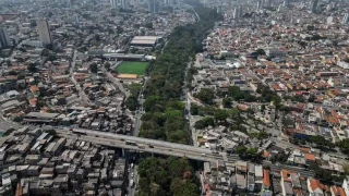 Alt-El jubilado que plantó 41.000 árboles y creó un bosque urbano en medio del asfalto