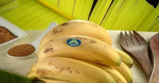Alt-Plátano de Canarias se defiende y aclara por qué han subido tanto los precios: “Vivimos una situación muy complicada”