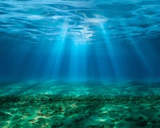 Alt-«Bomba de relojería»: la acidez del mar ha alcanzado niveles críticos y amenaza ecosistemas enteros, según un estudio