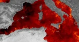 Alt-El Mediterráneo hierve: cuando el Mare Nostrum se convierte en un mar tropical