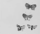 Alt-Bluesky vence a Twitter y Facebook: la rebelión contra los algoritmos ya ha empezado