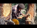 Alt-Los resineros: extracción del oro líquido del pino. Uso de la resina en chicles, jabón, barniz y más