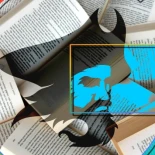 Alt-Google pega un golpe brutal a la piratería de libros: elimina 749 millones de enlaces al mayor metabuscador pirata