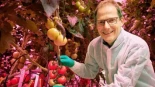Alt-La revolución tecnológica del "food valley": cómo Países Bajos logró ser el tercer exportador mundial de alimentos con un territorio tan pequeño