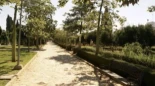 Alt-Una niña de dos años pierde una mano tras el ataque de un perro en un parque de Chiclana