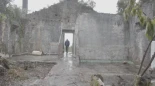 Alt-La resistencia contra el eucalipto, coprotagonista de documental