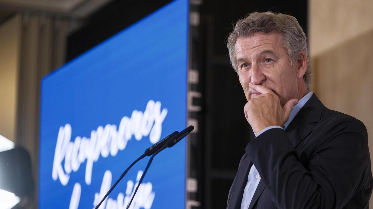 Alt-El PP de Feijóo promete una contrarreforma legal con recortes en derechos sociales
