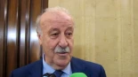 Alt-Del Bosque desvela que el seleccionador de Holanda se disculpó tras el Mundial de 2010