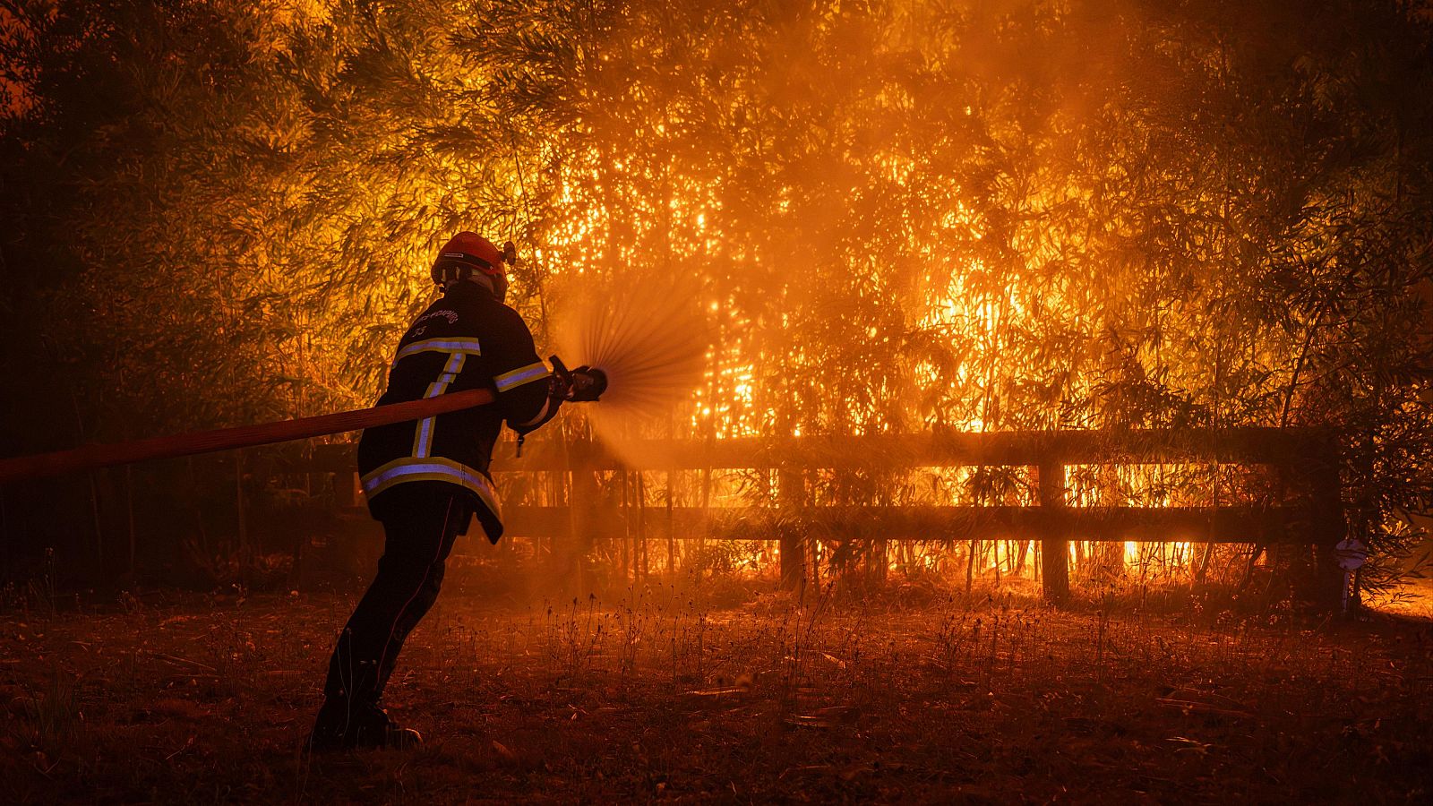 Incendios en Francia: más de 250.000 evacuados y alerta en Burdeos