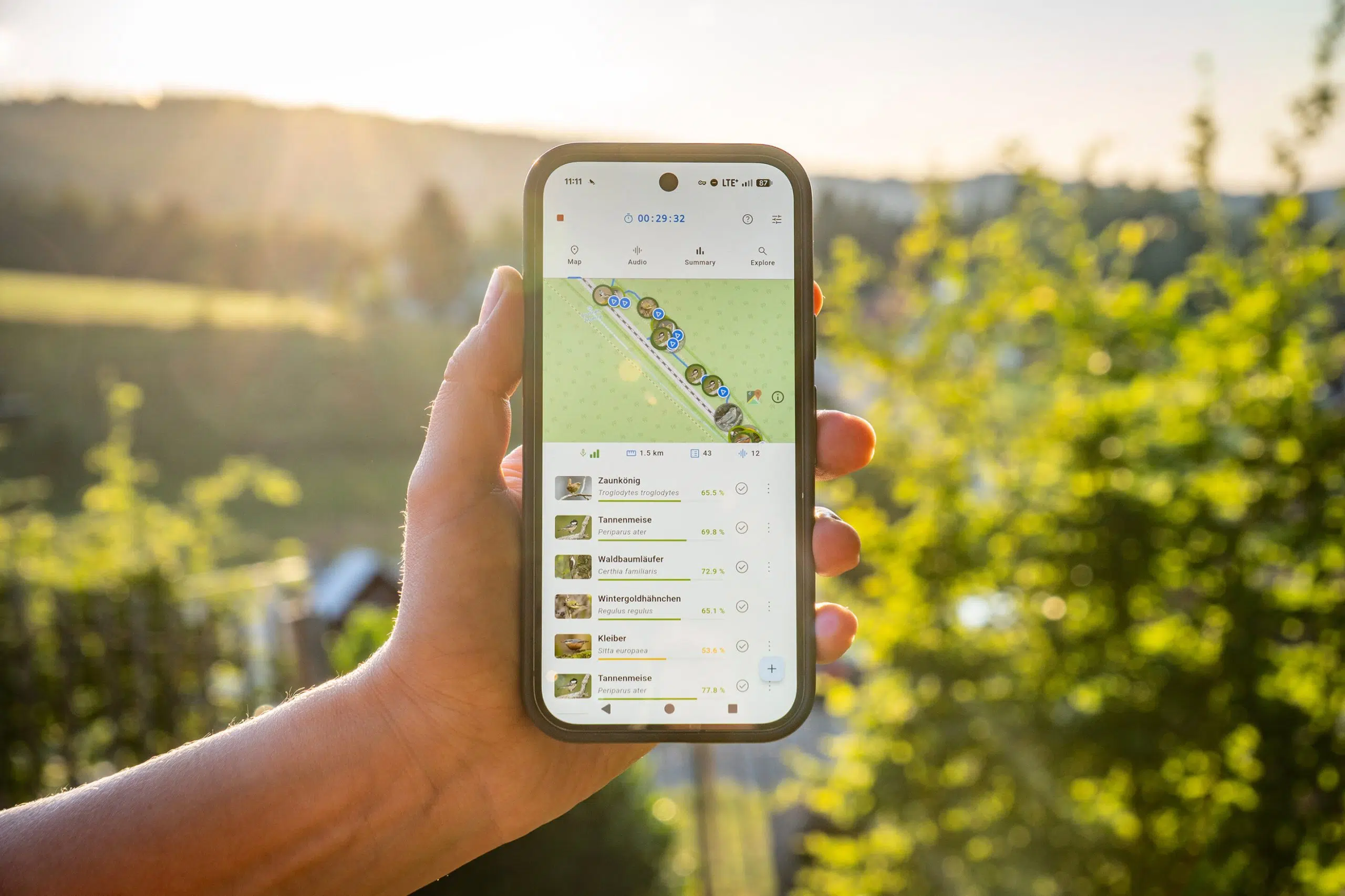 BirdNET Live: app identifica sonidos de 10.000 especies en tiempo real