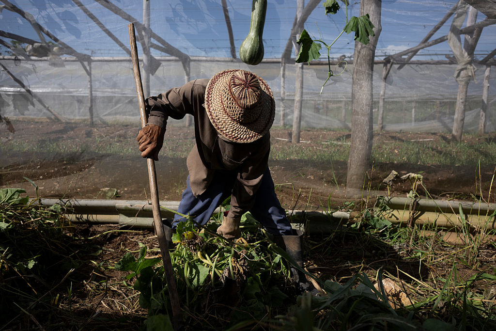 EE. UU. amplía sanciones a Cuba y apunta al suministro de alimentos