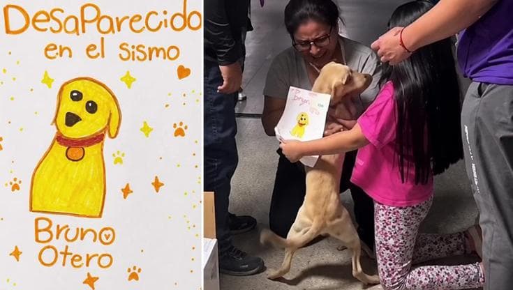 Niña de 7 años diseña retrato robot de su perro perdido en terremoto de Colombia