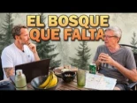 El plan forestal de 1939 y los incendios en España