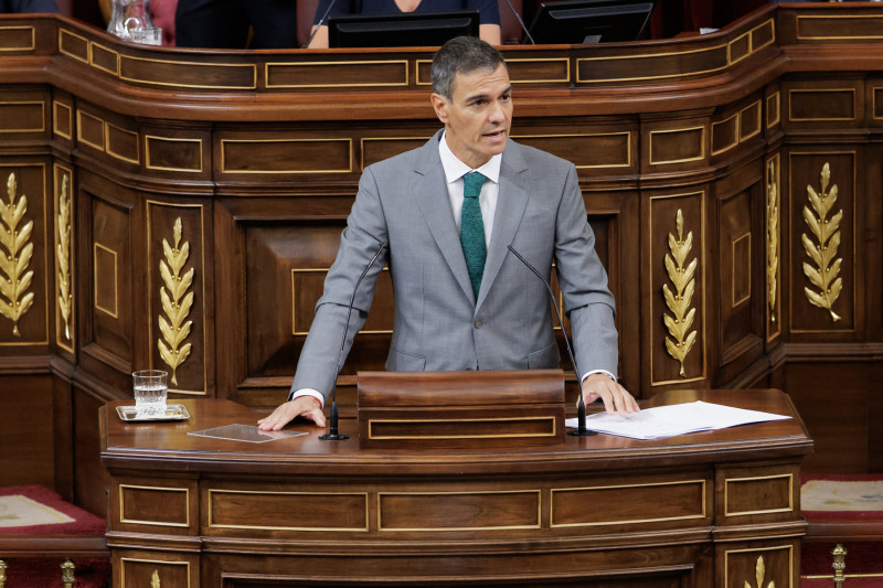 Ceuta: el Gobierno falló por no estar, no por no poder