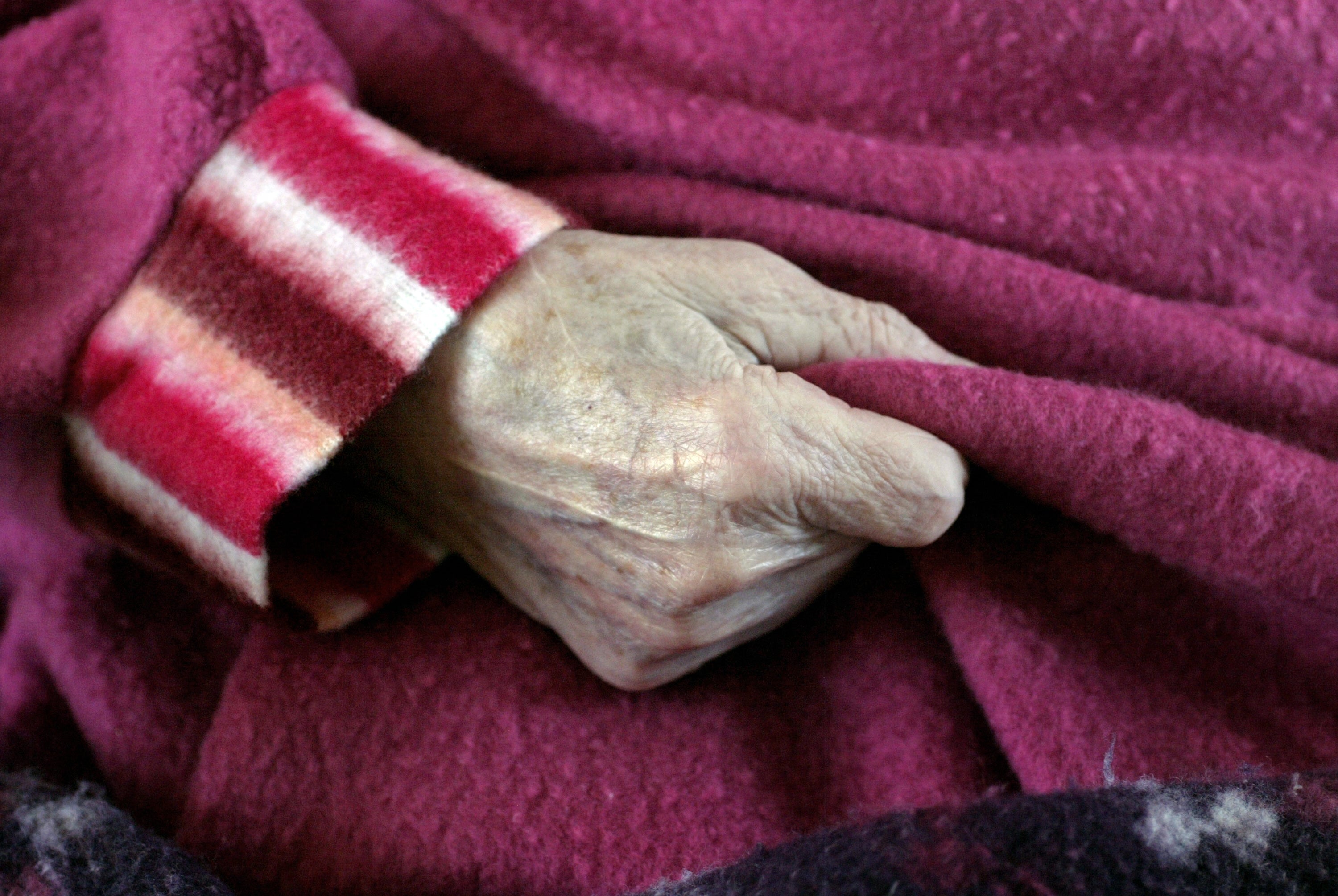 Alzheimer: descubren la proteína ERBB4 como causa clave
