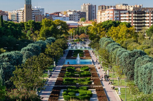 La tala de árboles urbanos en España: una práctica cuestionada