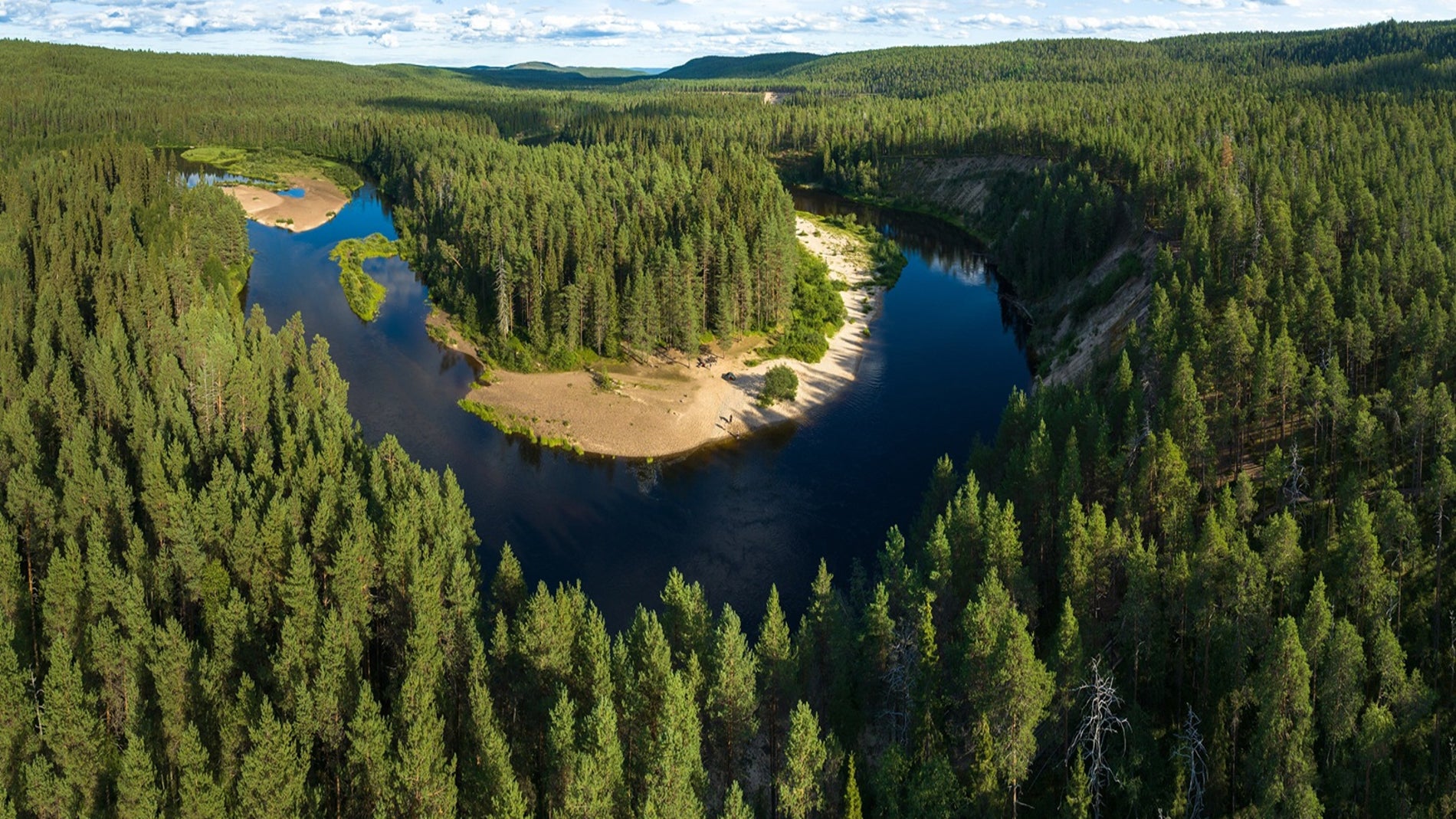 Alt-Google taló 330 hectáreas de bosque protegido en Finlandia: obras paradas