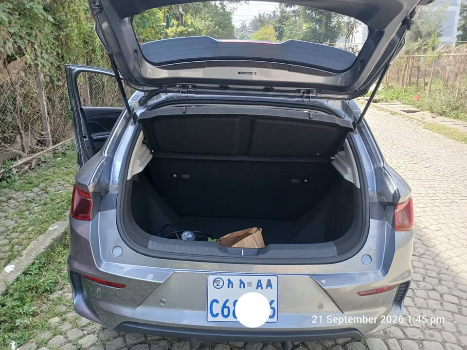 2024 BYD E2, photo 3