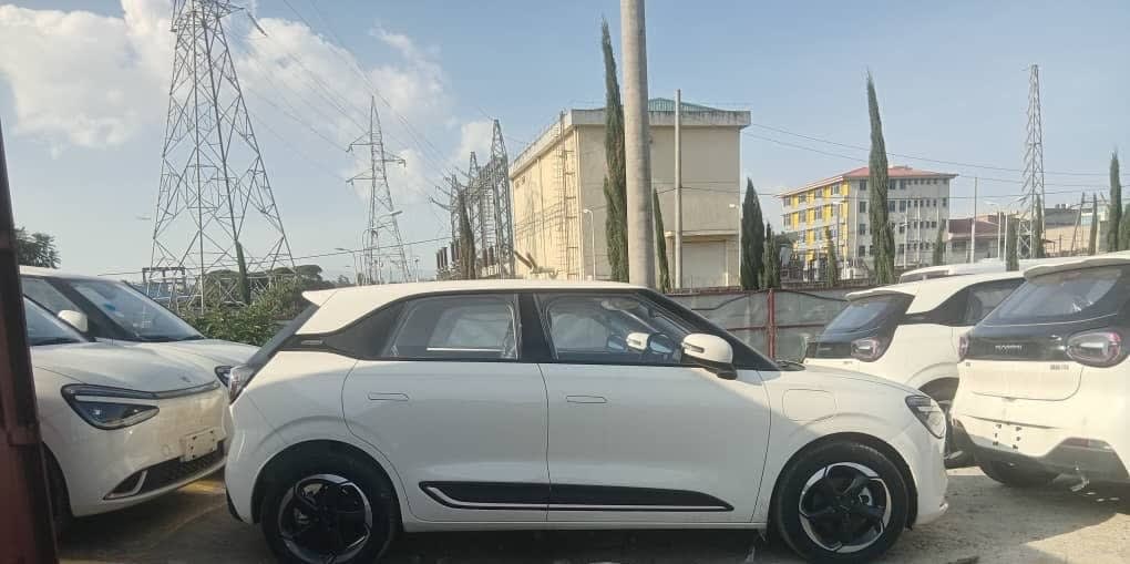 2025 Other Dongfeng Nammi 01, photo 2