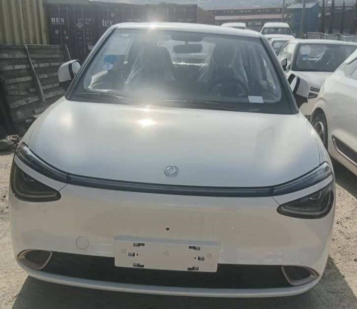 2025 Other Dongfeng Nammi 01, photo 1