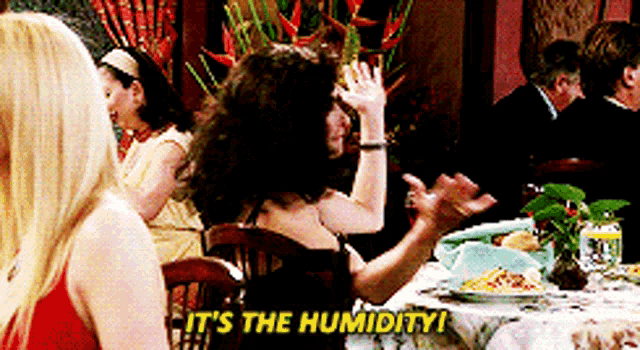Frizz and humidity frustration