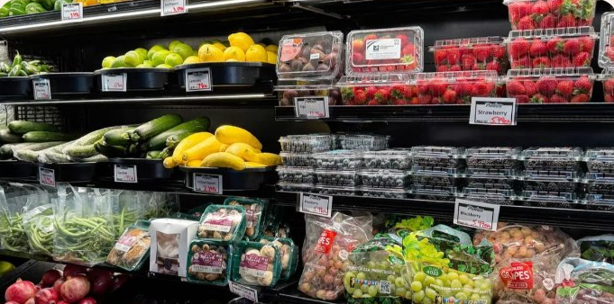 How Monthly Grocery Spending Patterns Vary Across Indian Cities