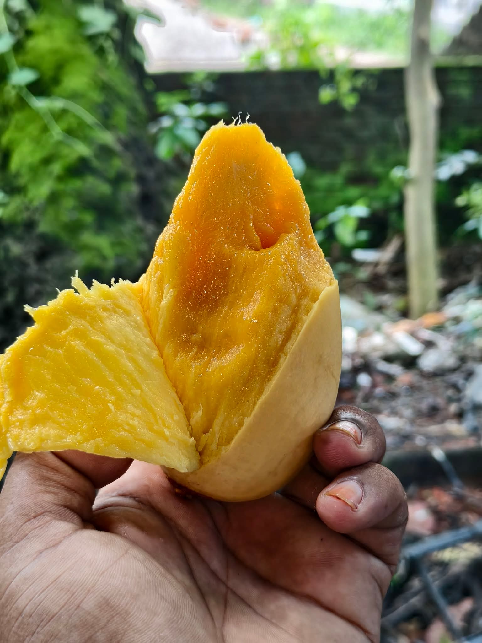 আমাদের থেকে কেন অর্ডার করবেন ?