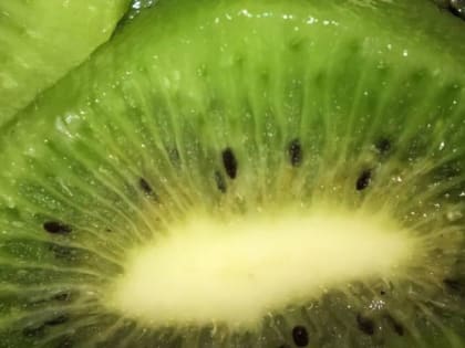 Зараженные фрукты в Забайкальском крае: масштабы проблемы